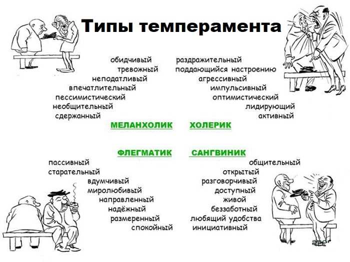 Что означает слово «саботировать» и как это объяснить простыми словами