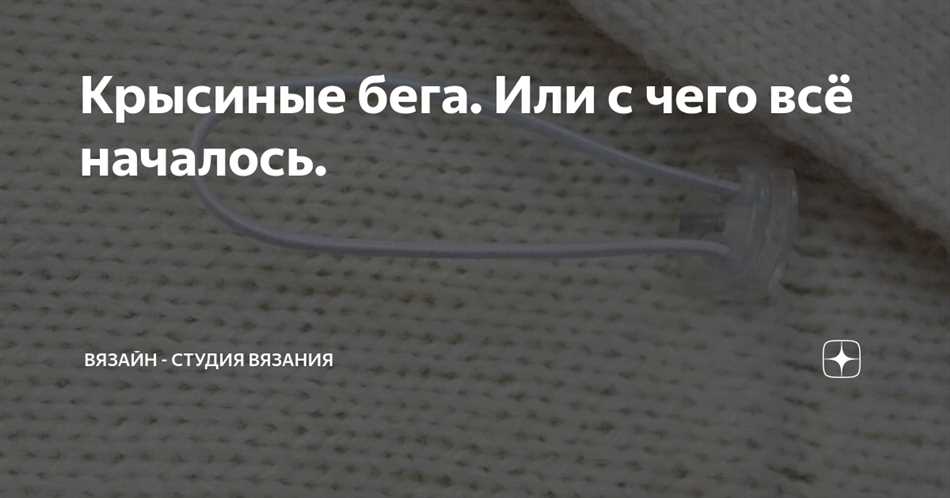 Что означает выражение «крысиные бега»?