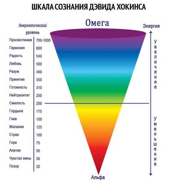 Что такое бакалейная лавка и какую роль она играет в нашей жизни