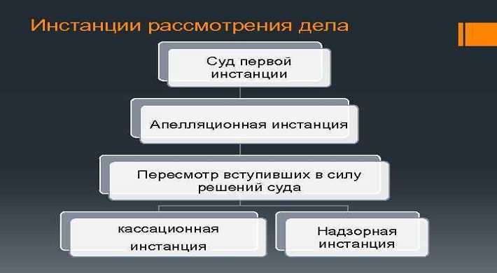 Кассационная жалоба. Как выиграть суд? • Гестион