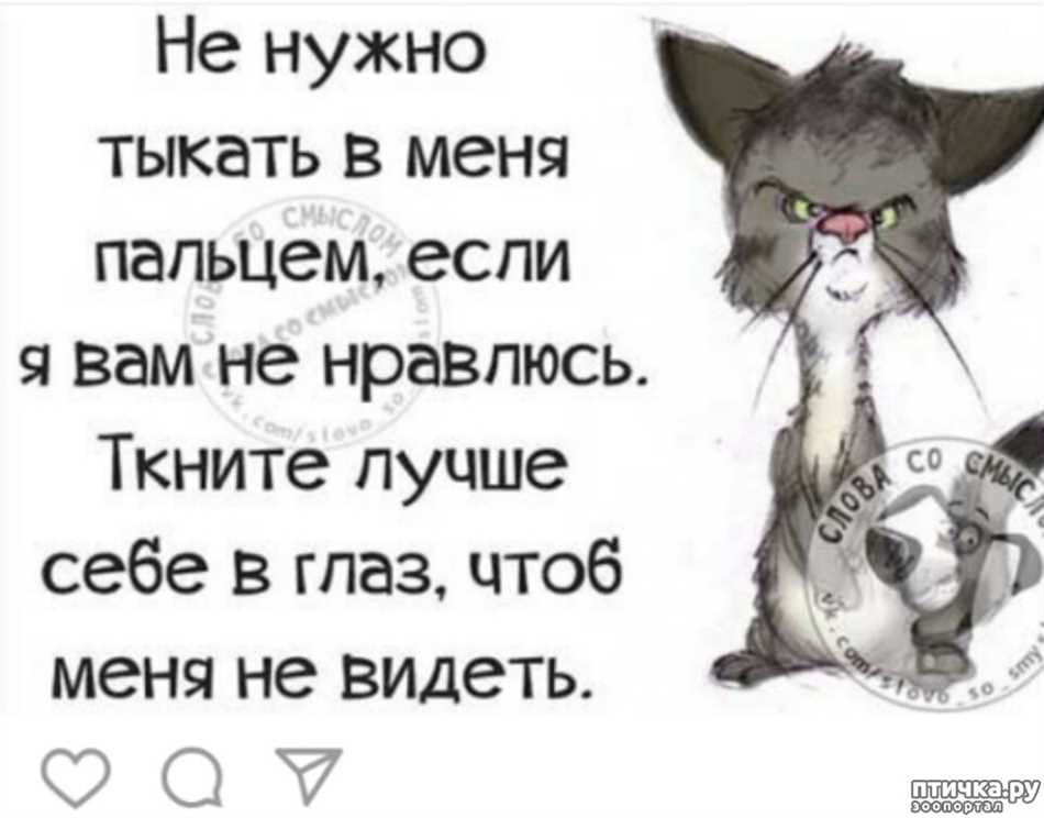 Что такое кляуза