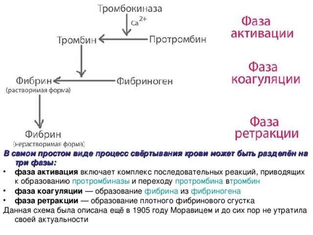 Что такое коагуляция крови простыми словами