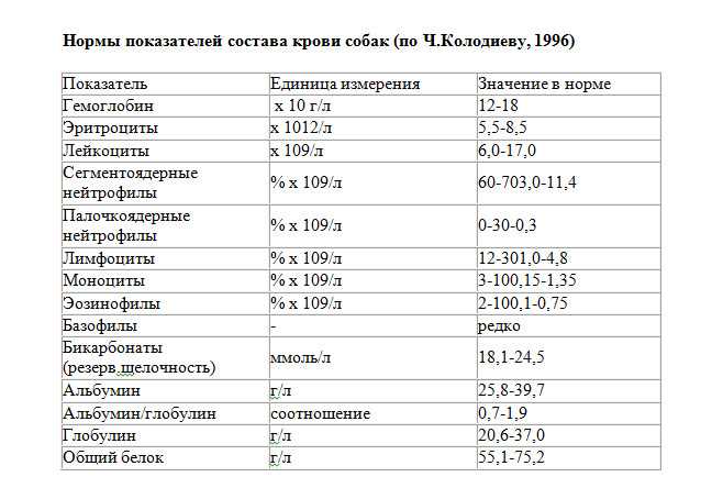 Воспалительные процессы