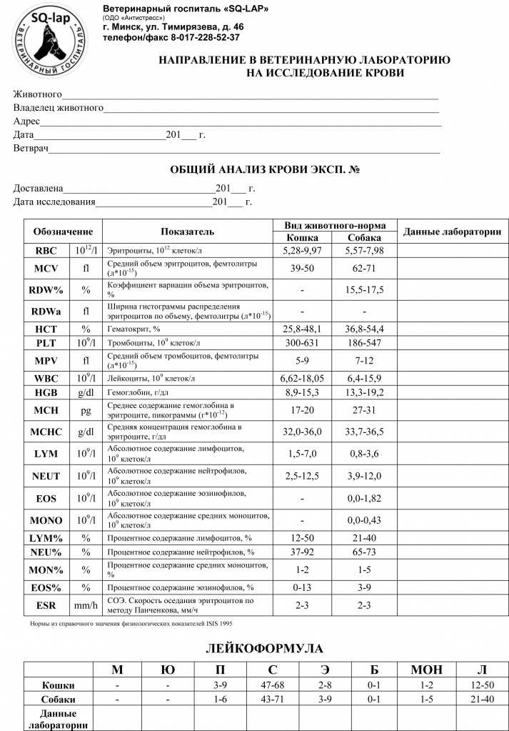 Что такое лейкоцитоз в крови у собаки