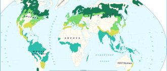 Лесистость в географии: понятие, признаки и значение