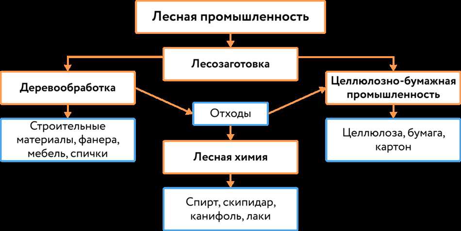 Проблемы и вызовы лесопромышленного комплекса