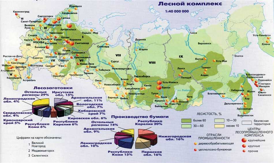 Важность экологической устойчивости в лесопромышленном комплексе