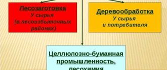 Лесозаготовка в географии: понятие и основные принципы