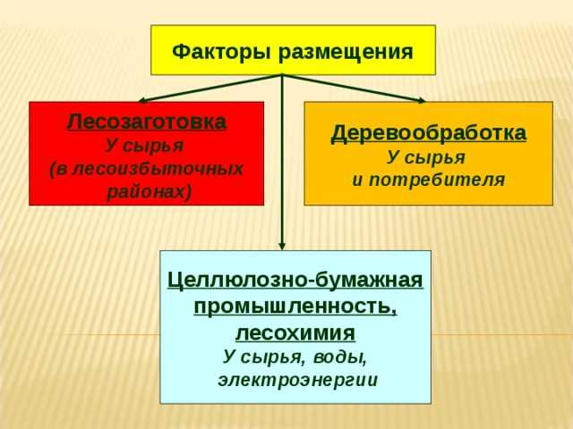 Что такое лесозаготовка в географии