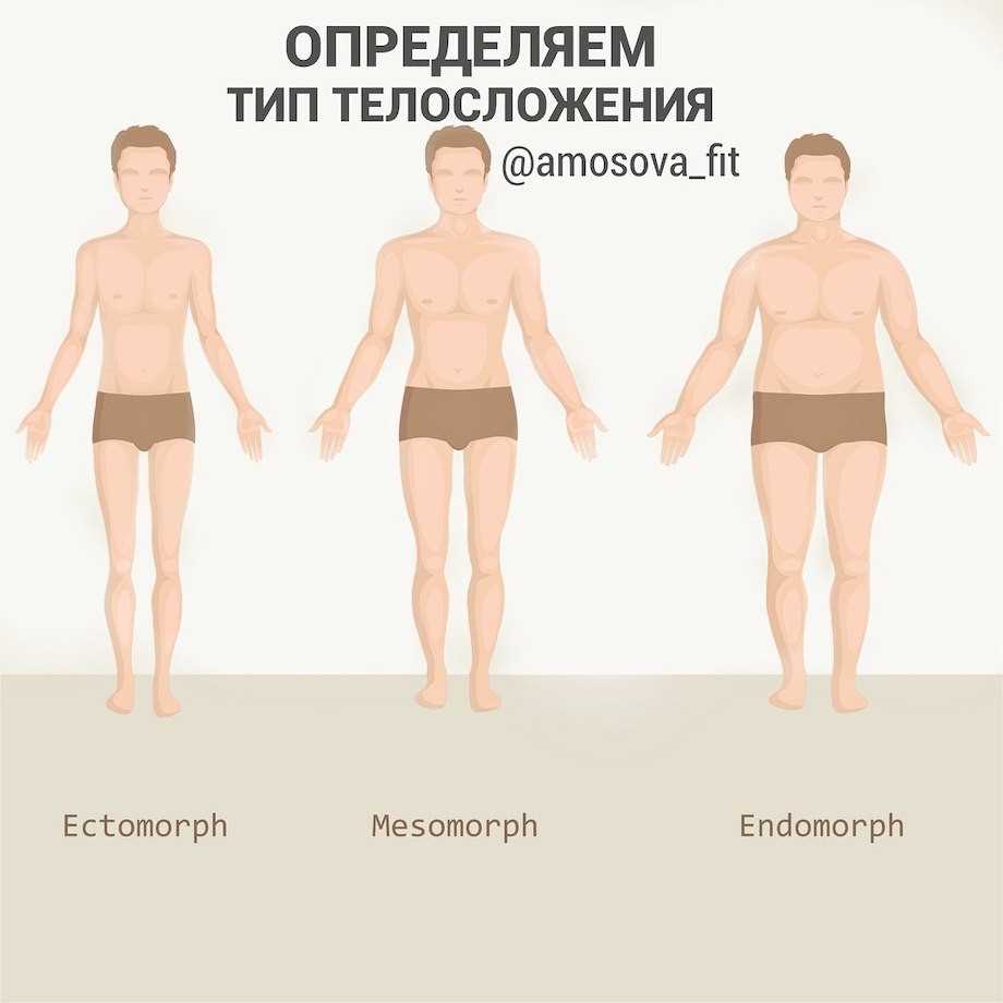 Не набирается мышечная масса — 5 причин