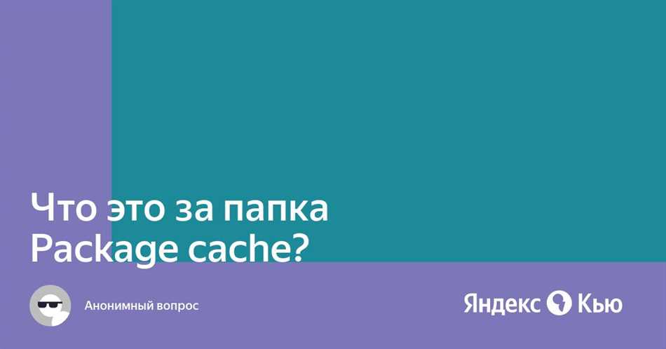 Зачем нужна папка Program data package cache?