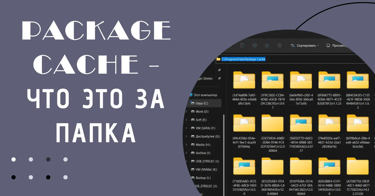 Что такое папка ProgramDataPackageCache?