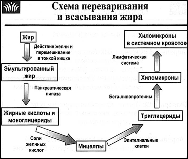 Что такое селективный препарат и как он работает