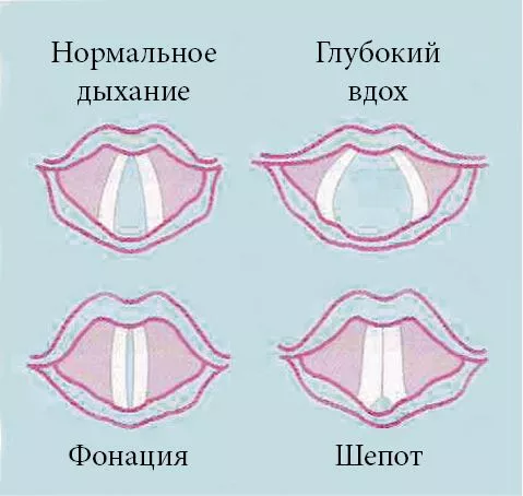 Определение и особенности шепотом голоса