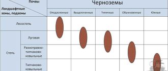 Слабощелочная почва: особенности и значение для сельского хозяйства