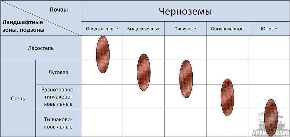 Что такое слабощелочная почва и ее особенности