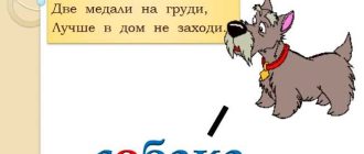 Что значит слово "собака"? Все, что вы хотели знать о этом слове