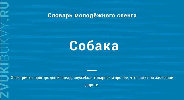 Раздел 3: Узнайте больше о слове «собака»