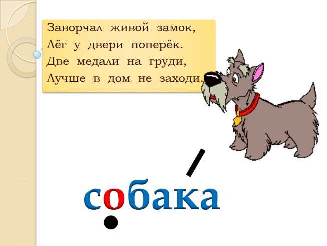 Что такое слово собака?