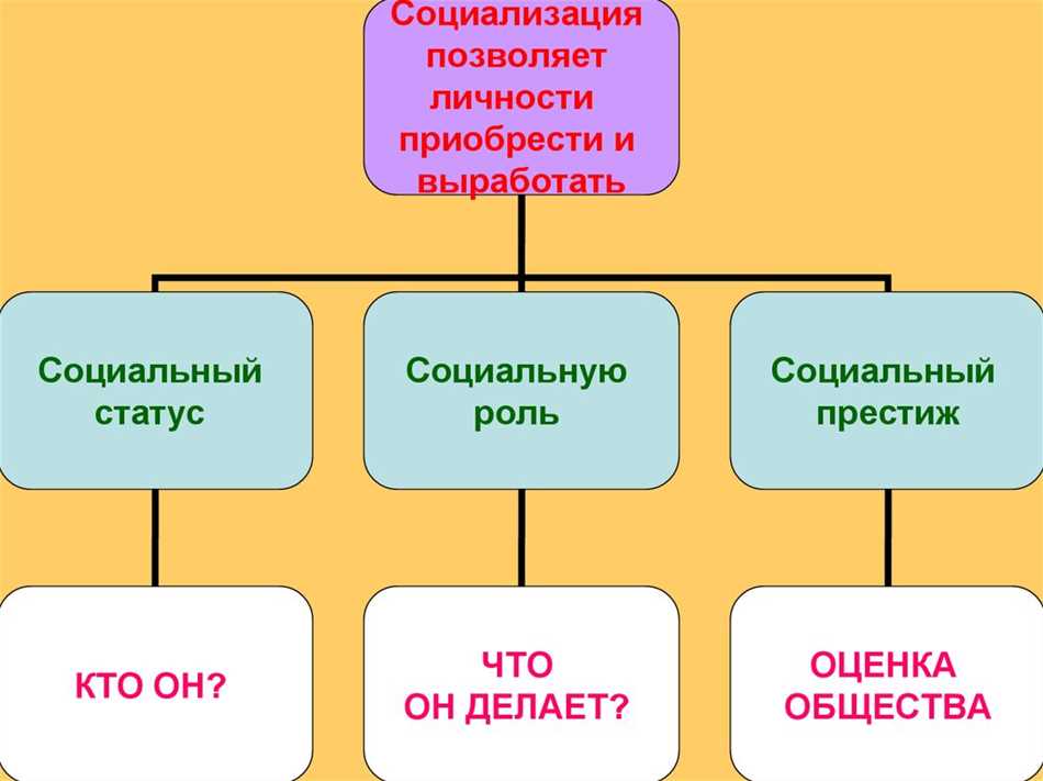 Человек в социальной структуре общества