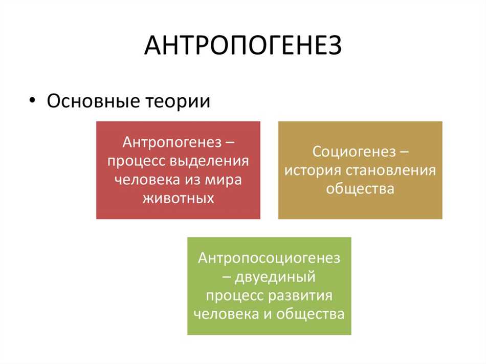 Теории антропогенеза человека. Назовите основные теории антропогенеза. Антропогенез социогенез антропосоциогенез. Предпосылки антропогенеза. Основные черты антропогенеза и социогенеза.