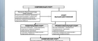 Что такое современный спорт?