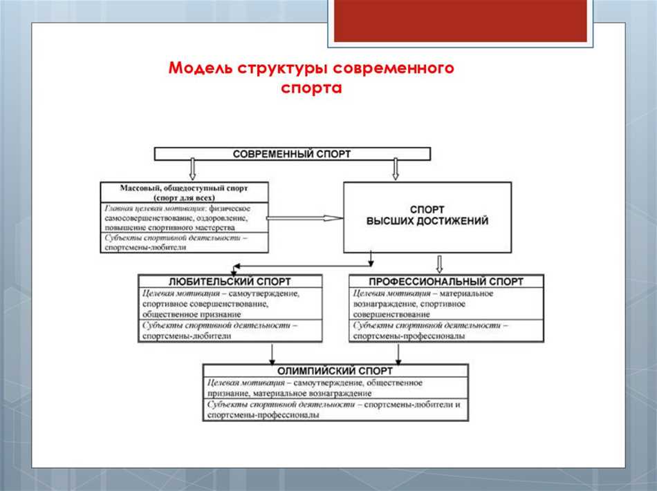 Что такое современный спорт