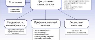 Что такое специалист с квалификацией и без