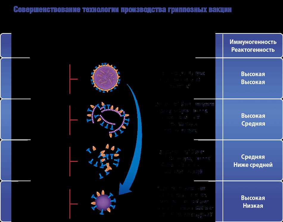 Что такое сплит вакцина