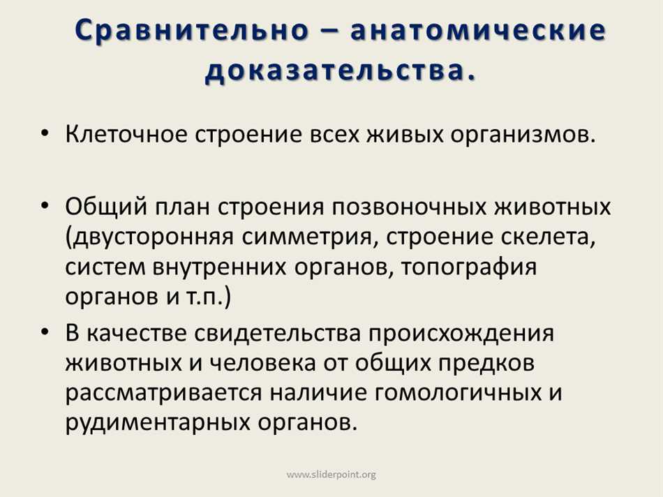 Эмбриологическое сходство: принципы и примеры