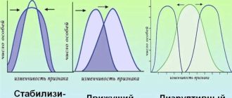 Что такое стабилизирующий отбор в биологии