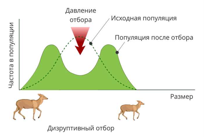 Критика стабилизирующего отбора