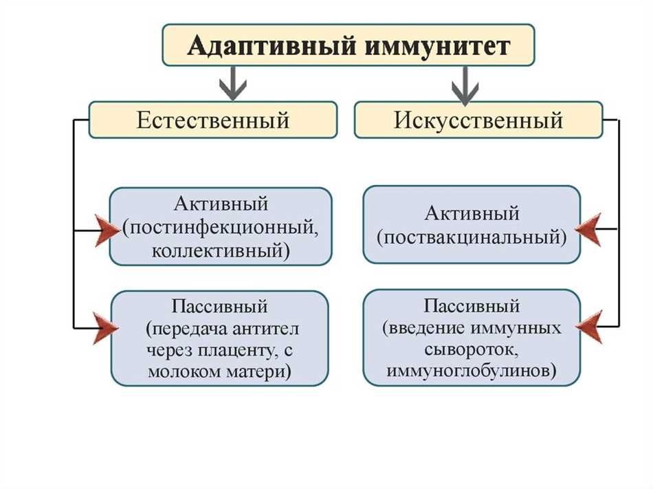 Приобретенный стерильный иммунитет