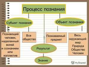 Виды субъектов