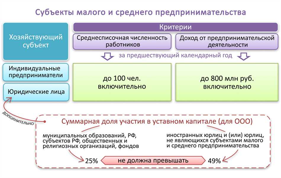 Что такое субъект МСП: расшифровка и основные характеристики