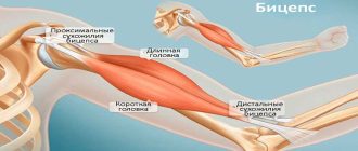 Что такое субтотальный разрыв сухожилия