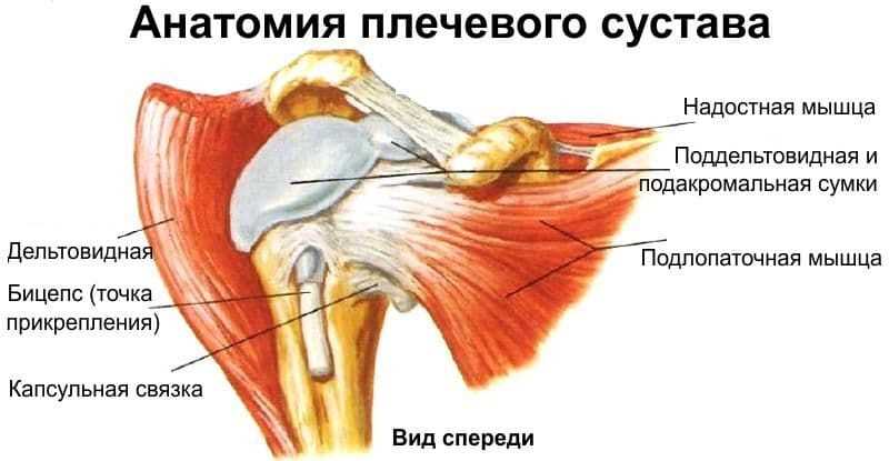 Субтотальный разрыв сухожилия: причины возникновения