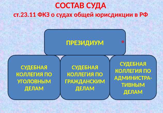 Роль и функции судов общей юрисдикции