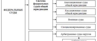 Что такое суды общей юрисдикции: определение и особенности