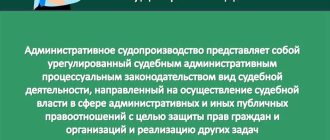 Что такое судопроизводство: простыми словами