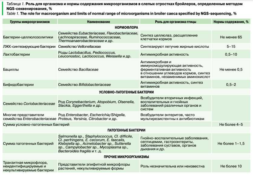 1. Защита от патогенных микроорганизмов