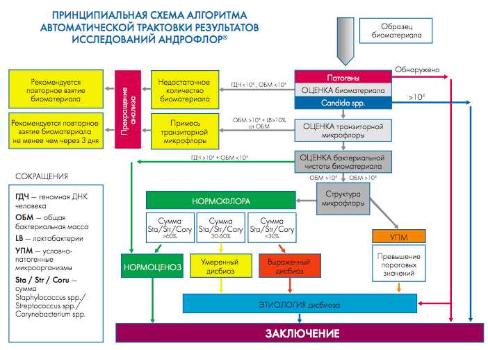  Диагностика нарушения суммы нормофлоры 