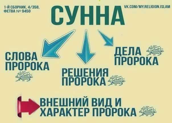 Что такое сунна в исламе?