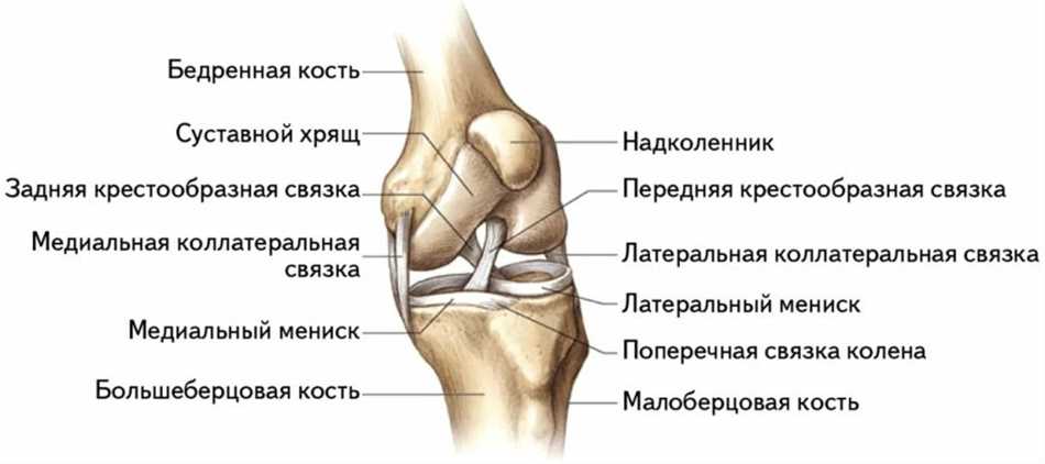 4. Контроль веса