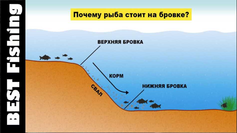 Законодательство о свале в рыбалке