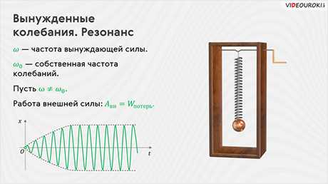 Что такое свободные и вынужденные колебания