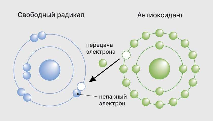 Воздействие свободных радикалов на организм