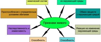 Что такое свойства жизни в биологии: основные понятия и принципы