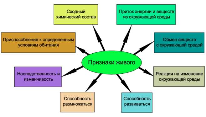 Что такое свойства жизни в биологии