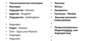 Таксономические группы: как они определяются и зачем нужны